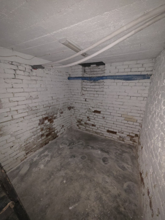 Inchiriere Spatiu Comercial Vasile lascar Dacia